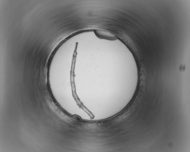 X0000110740892200907061004