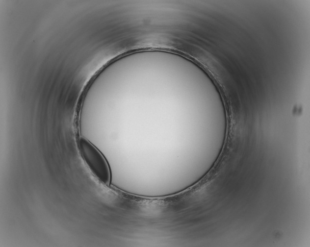 X0000110740893200907061004