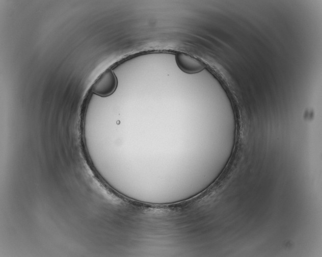 X0000110740894200907061004