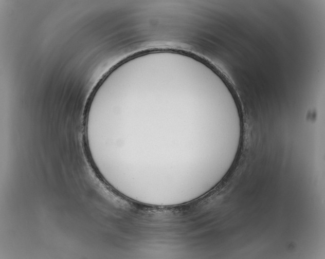 X0000110740895200907061004