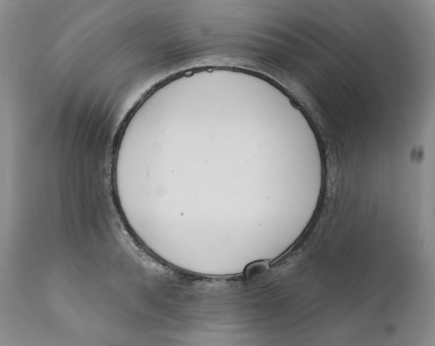 X0000110740896200907061004