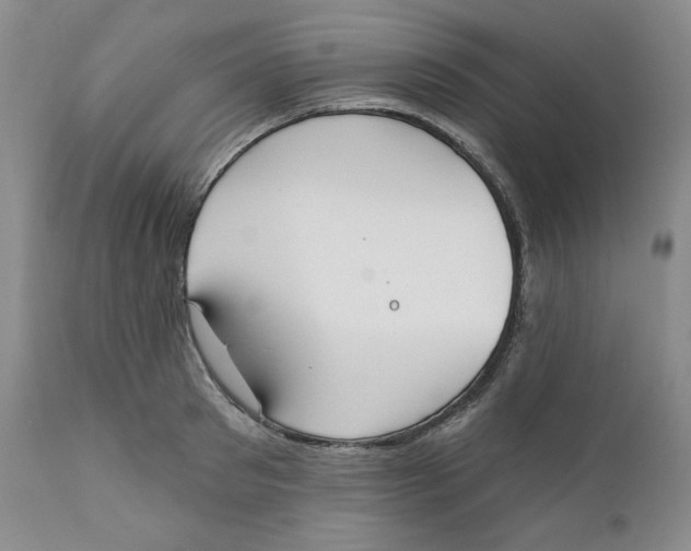 X0000110740897200907061004