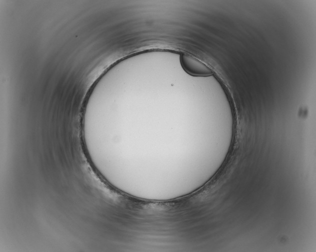 X0000110740898200907061004