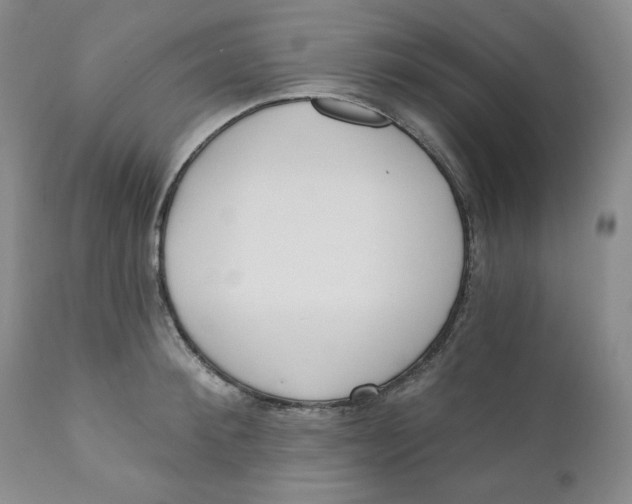 X0000110740900200907061004