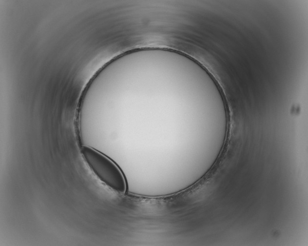 X0000110740901200907061004