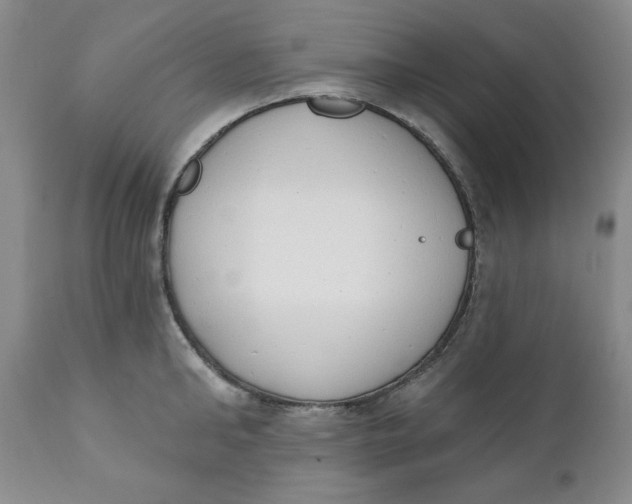 X0000110740902200907061004