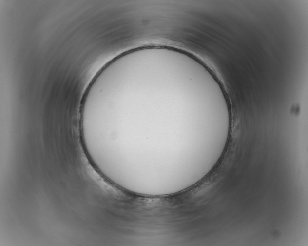 X0000110740903200907061004