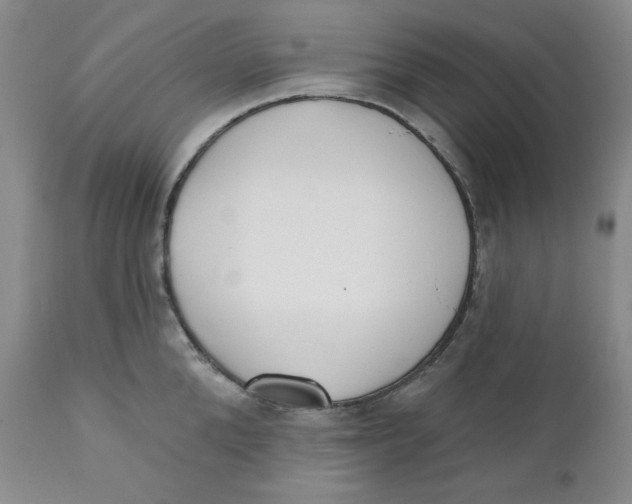 X0000110740904200907061004