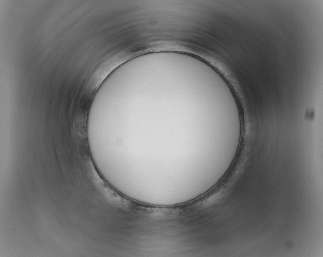 X0000110740905200907061004