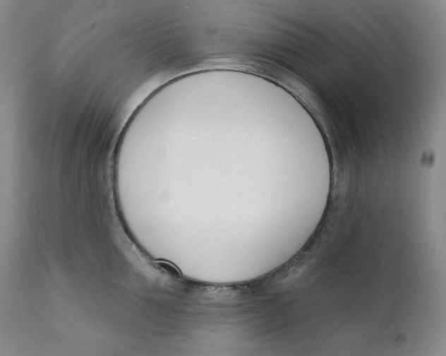 X0000110740907200907061004