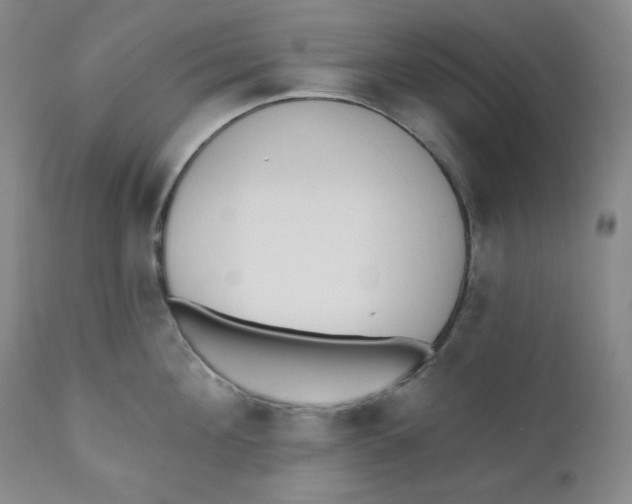 X0000110740908200907061004