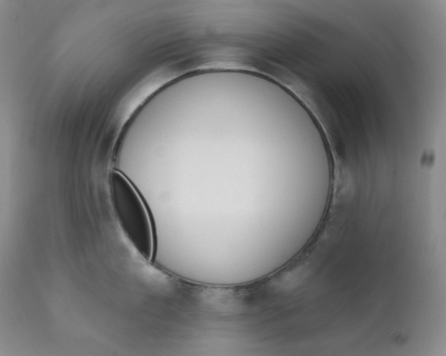 X0000110740909200907061004