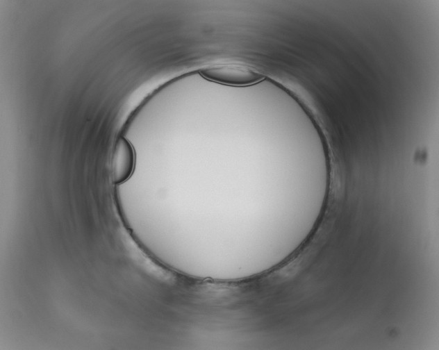 X0000110740910200907061004