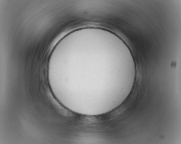 X0000110740911200907061004