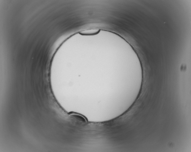 X0000110740912200907061004