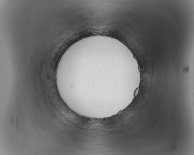 X0000110740913200907061003