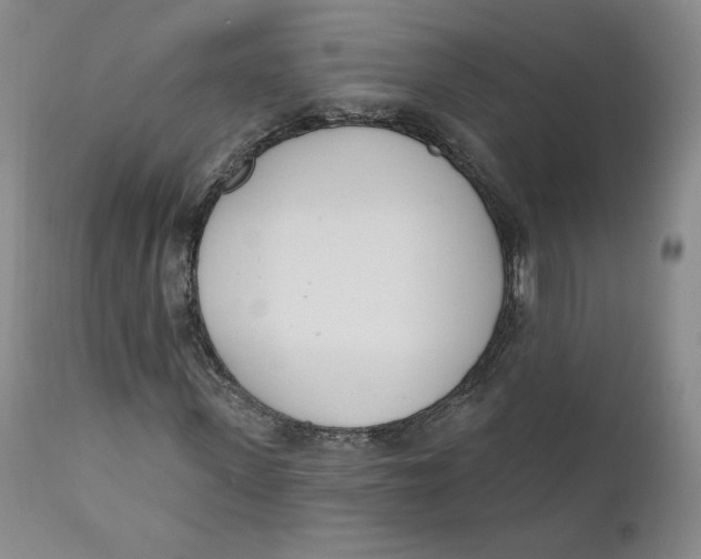 X0000110740915200907061003