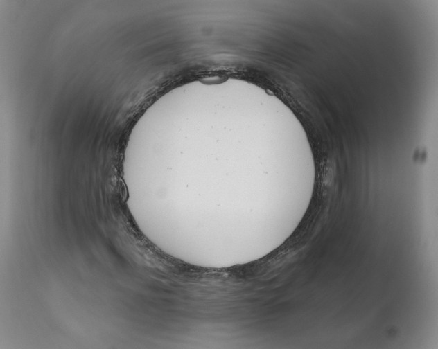 X0000110740916200907061003