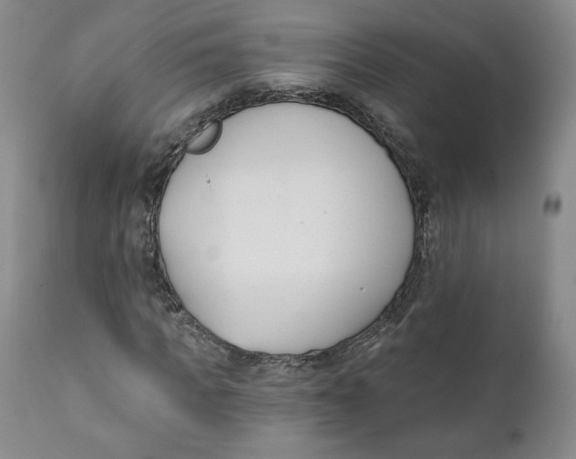 X0000110740917200907061003