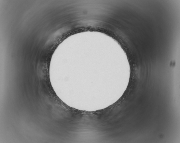 X0000110740918200907061003