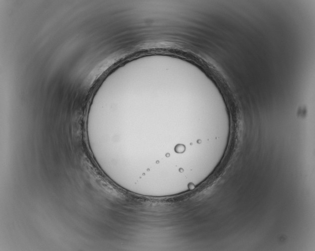 X0000110740921200907061003