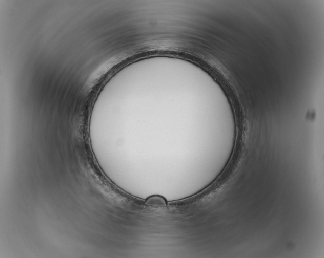 X0000110740922200907061003