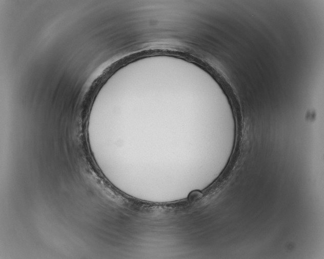 X0000110740923200907061003