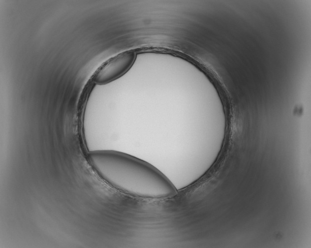 X0000110740924200907061003