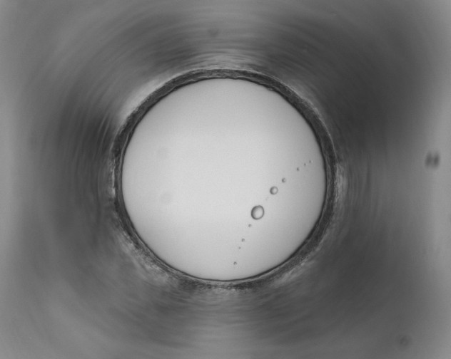 X0000110740925200907061003