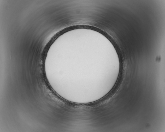 X0000110740926200907061003