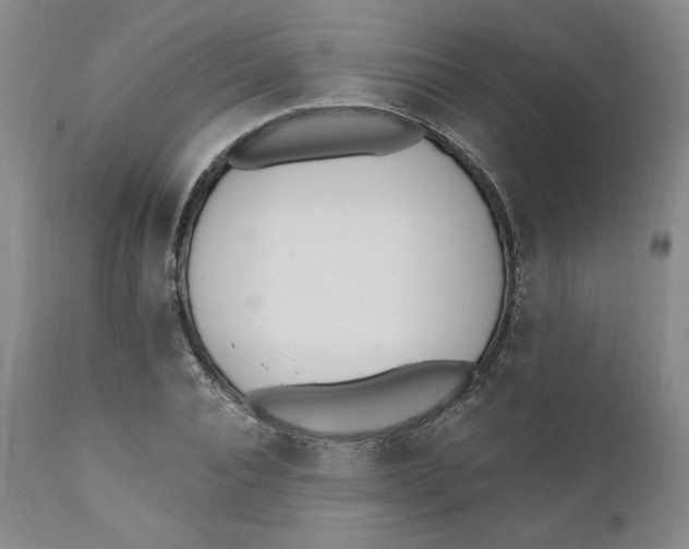 X0000110740928200907061003