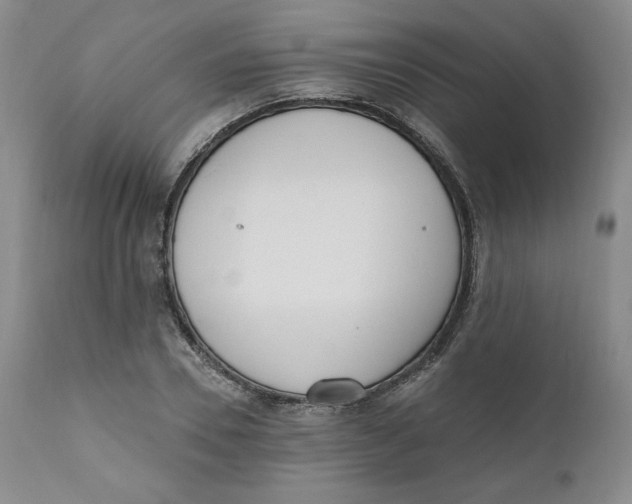 X0000110740930200907061003