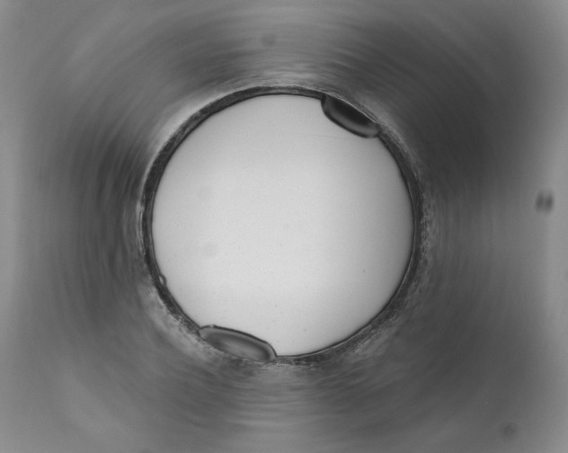 X0000110740932200907061003