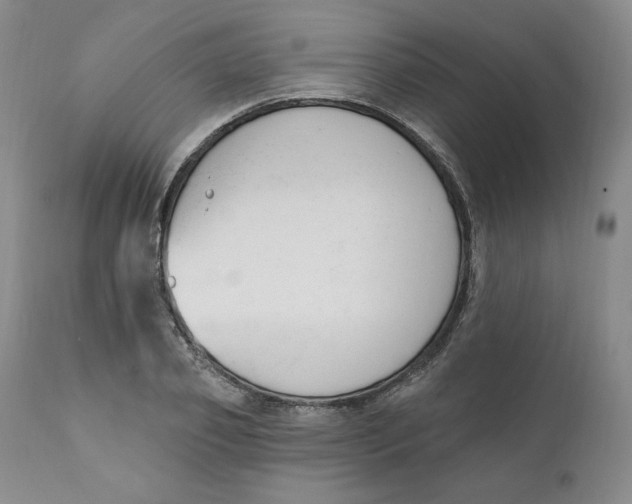 X0000110740933200907061003