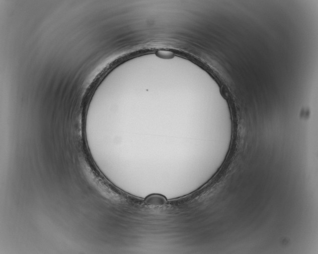 X0000110740934200907061003