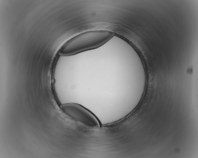 X0000110740936200907061004