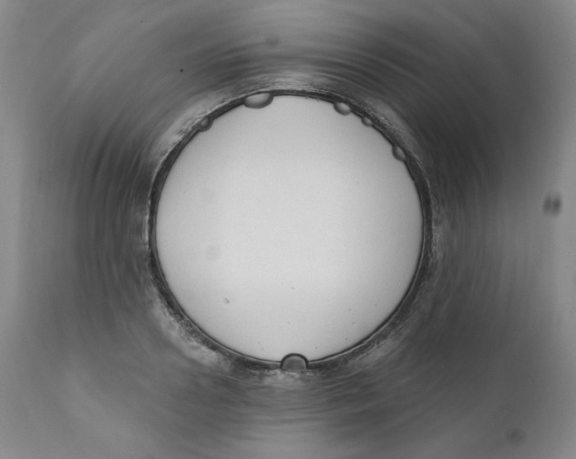 X0000110740938200907061004