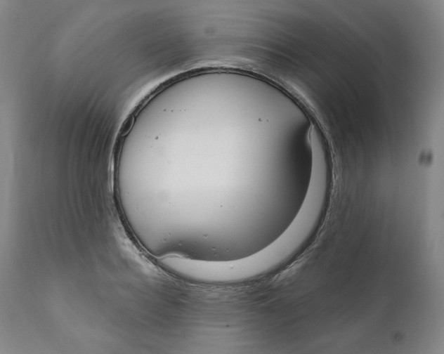 X0000110740940200907061004