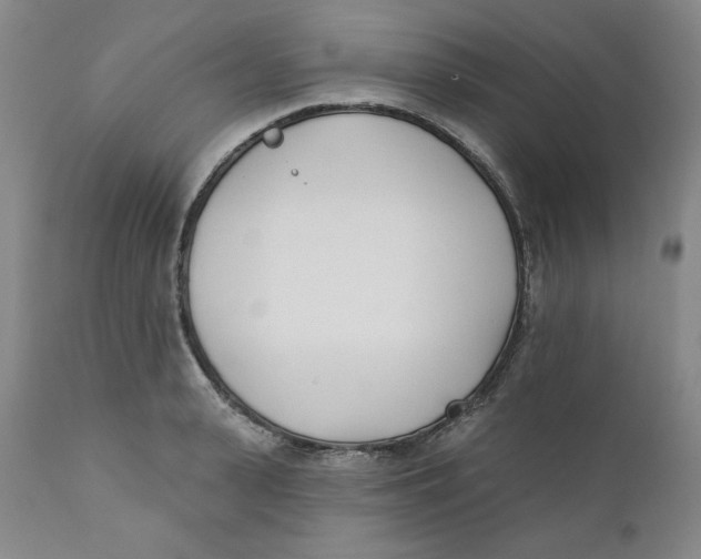 X0000110740943200907061004