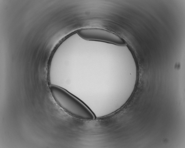 X0000110740944200907061004