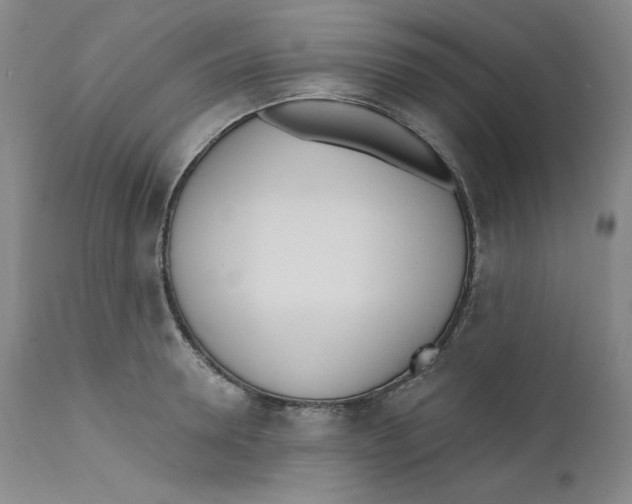 X0000110740946200907061004