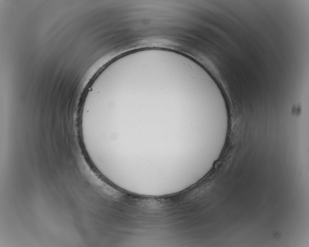 X0000110740947200907061004