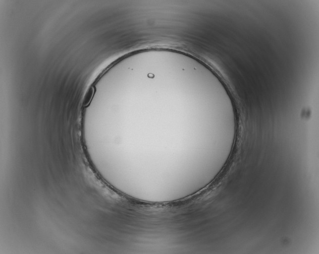 X0000110740948200907061004