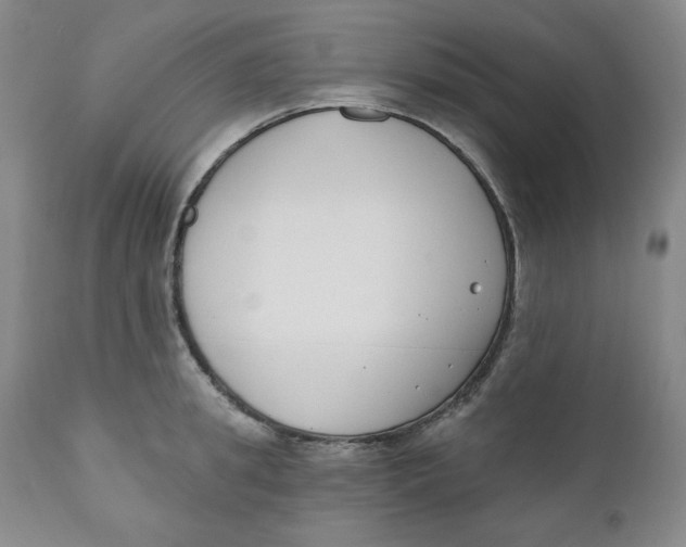 X0000110740949200907061004