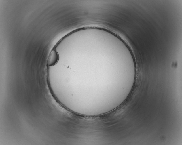 X0000110740951200907061004