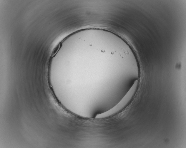 X0000110740952200907061004