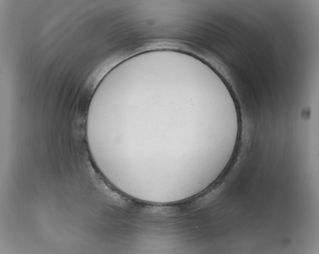 X0000110740953200907061004