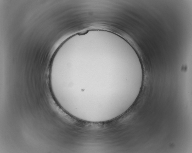 X0000110740955200907061004