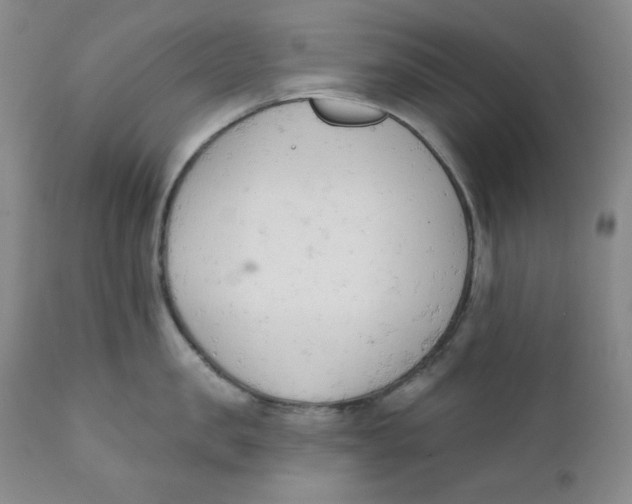 X0000110740957200907061004