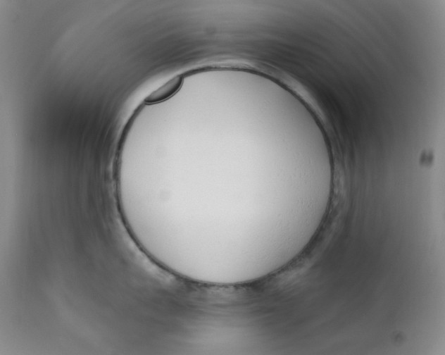 X0000110740959200907061004